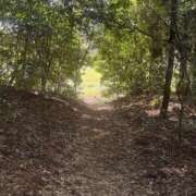 ヒメ日記 2026/04/09 18:20 投稿 ねね 脱がされたい人妻 さいたま大宮店