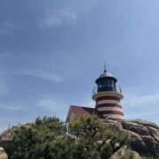 ヒメ日記 2026/04/15 09:40 投稿 ねね 脱がされたい人妻 さいたま大宮店