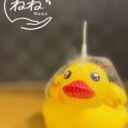 ヒメ日記 2026/04/27 17:25 投稿 ねね 脱がされたい人妻 さいたま大宮店