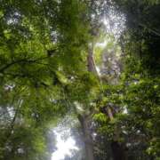 ヒメ日記 2026/04/30 12:31 投稿 ねね 脱がされたい人妻 さいたま大宮店