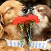 ヒメ日記 2026/04/17 21:51 投稿 かんな モアグループ神栖人妻花壇