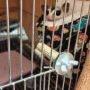 山崎にこ よろしくお願いします 熟女パラダイス京都店（カサブランカグループ）