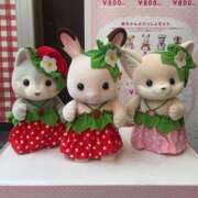 ヒメ日記 2026/02/12 18:02 投稿 しおり ムーランルージュ