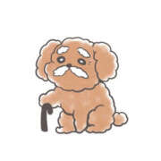 ヒメ日記 2026/02/21 22:10 投稿 綾川佳乃(あやかわよしの) 五十路マダムエクスプレス厚木店(カサブランカグループ)