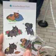 ヒメ日記 2026/01/18 13:35 投稿 のと 五反田サンキュー