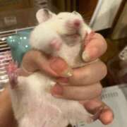 ヒメ日記 2026/01/22 16:18 投稿 のと 五反田サンキュー