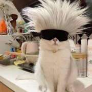 ヒメ日記 2026/01/28 13:59 投稿 のと 五反田サンキュー