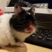 ヒメ日記 2026/02/06 16:59 投稿 のと 五反田サンキュー