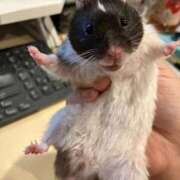 ヒメ日記 2026/02/23 08:59 投稿 のと 五反田サンキュー