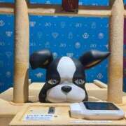 のと うおー予告 五反田サンキュー