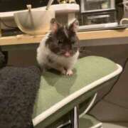 のと 今日はお得な日 五反田サンキュー