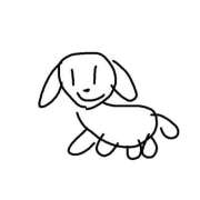 ヒメ日記 2026/01/29 19:08 投稿 しらゆり ドマーニ