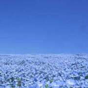 ヒメ日記 2026/02/08 20:43 投稿 しらゆり ドマーニ