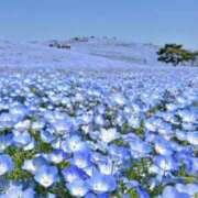 ヒメ日記 2026/02/13 10:10 投稿 しらゆり ドマーニ