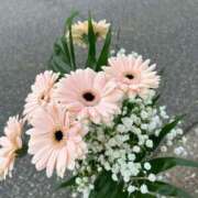 ヒメ日記 2026/02/13 20:16 投稿 しらゆり ドマーニ