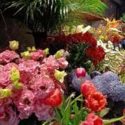 ヒメ日記 2026/02/15 15:05 投稿 しらゆり ドマーニ