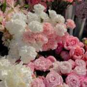 ヒメ日記 2026/02/22 12:30 投稿 しらゆり ドマーニ