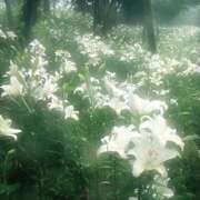 ヒメ日記 2026/02/22 21:36 投稿 しらゆり ドマーニ