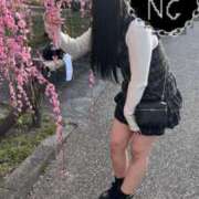 ヒメ日記 2026/02/24 21:39 投稿 しらゆり ドマーニ