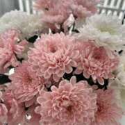 ヒメ日記 2026/02/25 12:09 投稿 しらゆり ドマーニ