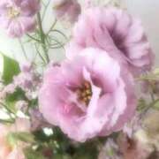 ヒメ日記 2026/02/26 20:00 投稿 しらゆり ドマーニ