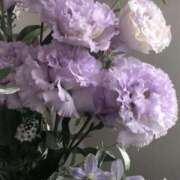 ヒメ日記 2026/02/27 17:04 投稿 しらゆり ドマーニ