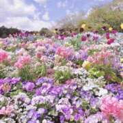 ヒメ日記 2026/02/28 12:28 投稿 しらゆり ドマーニ