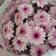 ヒメ日記 2026/03/14 18:36 投稿 しらゆり ドマーニ