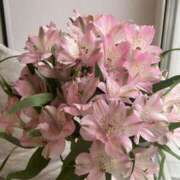 ヒメ日記 2026/03/24 14:38 投稿 しらゆり ドマーニ