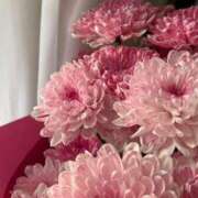 ヒメ日記 2026/03/25 13:15 投稿 しらゆり ドマーニ