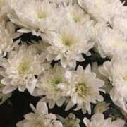 ヒメ日記 2026/03/31 19:31 投稿 しらゆり ドマーニ