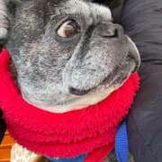 ヒメ日記 2026/02/21 18:02 投稿 榛之もも 熟女パラダイス鶯谷店(カサブランカグループ)