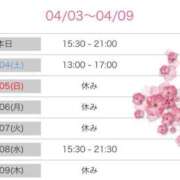 ヒメ日記 2026/04/03 15:02 投稿 榛之もも 熟女パラダイス鶯谷店(カサブランカグループ)