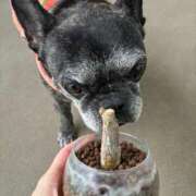 ヒメ日記 2026/04/21 12:31 投稿 榛之もも 熟女パラダイス鶯谷店(カサブランカグループ)