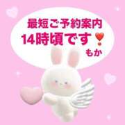 ヒメ日記 2026/02/07 11:41 投稿 もか 水戸人妻花壇