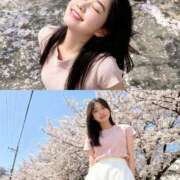 ヒメ日記 2026/03/31 23:05 投稿 ひなた ぐっすり山田 横浜店