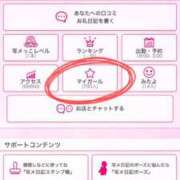 ヒメ日記 2026/04/07 14:25 投稿 ひなた ぐっすり山田 横浜店