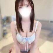 恵南すみれ 2/20 デビュー✨ ブルーバード