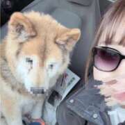 ヒメ日記 2026/03/18 11:02 投稿 さくら 石川小松ちゃんこ