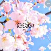 ヒメ日記 2026/04/06 12:12 投稿 さくら 石川小松ちゃんこ