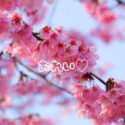 ヒメ日記 2026/04/08 22:42 投稿 さくら 石川小松ちゃんこ