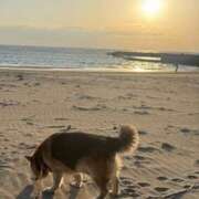 ヒメ日記 2026/04/10 19:42 投稿 さくら 石川小松ちゃんこ