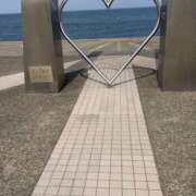 ヒメ日記 2026/04/13 16:06 投稿 さくら 石川小松ちゃんこ