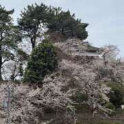 ヒメ日記 2026/04/14 15:52 投稿 さくら 石川小松ちゃんこ