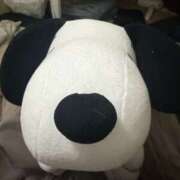 ヒメ日記 2026/04/15 12:12 投稿 さくら 石川小松ちゃんこ