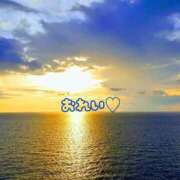 ヒメ日記 2026/04/16 05:52 投稿 さくら 石川小松ちゃんこ