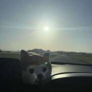 ヒメ日記 2026/04/16 17:22 投稿 さくら 石川小松ちゃんこ