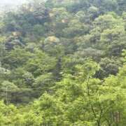 ヒメ日記 2026/04/19 15:32 投稿 さくら 石川小松ちゃんこ