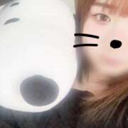 ヒメ日記 2026/04/27 10:12 投稿 さくら 石川小松ちゃんこ