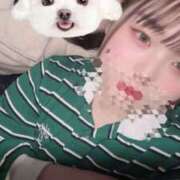 ヒメ日記 2026/06/04 10:12 投稿 さくら 石川小松ちゃんこ